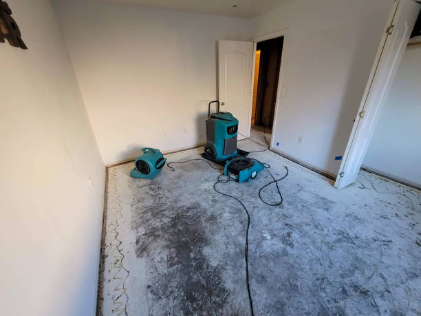 Best Water damage restoration mold remediation  in Canal Winchester, OH