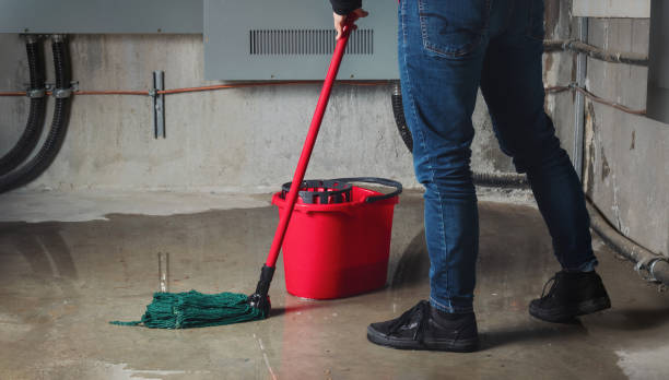 Best Emergency water damage restoration  in Canal Winchester, OH